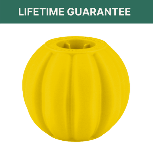 Pumpkin Small Yellow