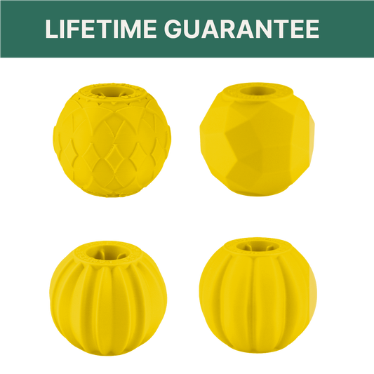 Small Dog Yellow Ball Bundle