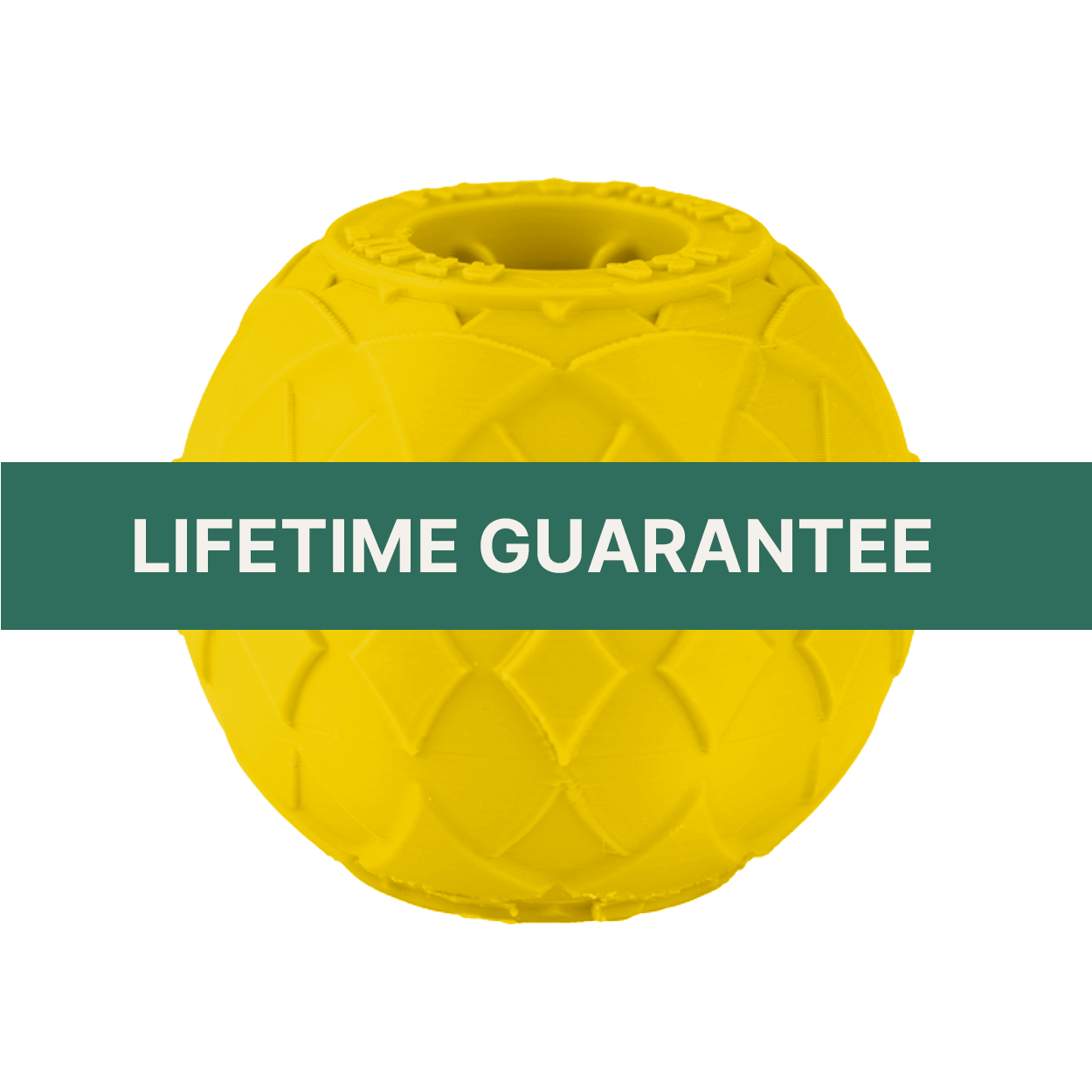 RT. 111 Small Yellow