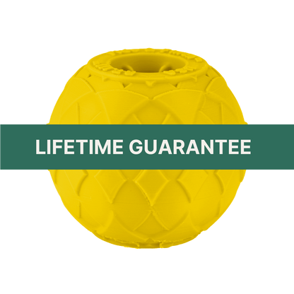 RT. 111 Small Yellow