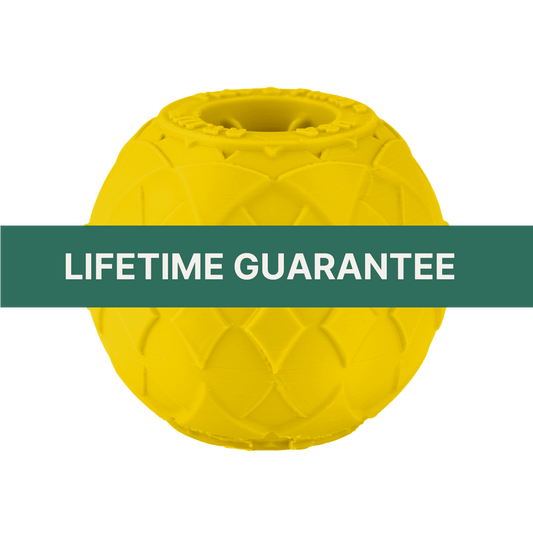 RT. 111 Small Yellow