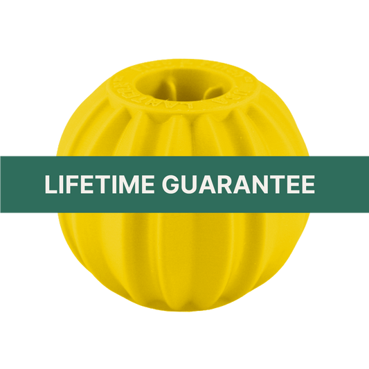 Pumpkin Small Yellow