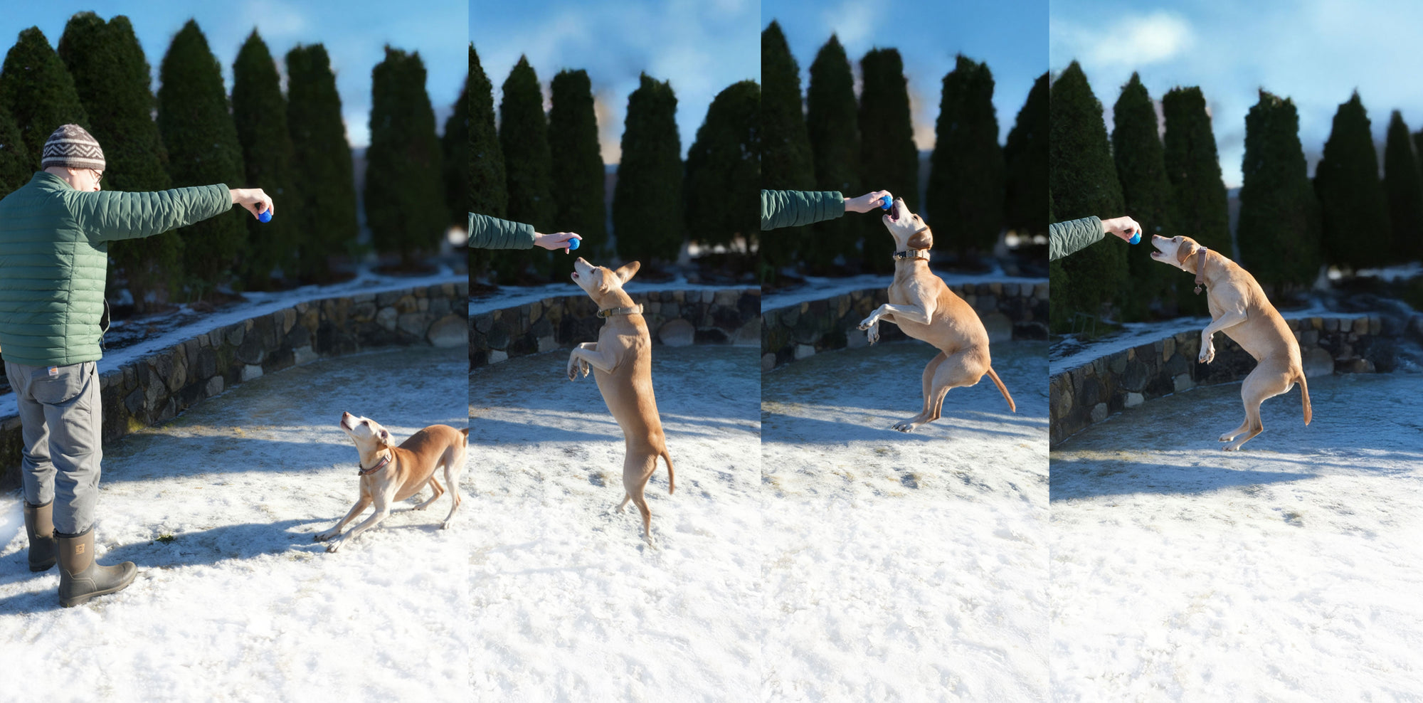 Human Grade Pet Products