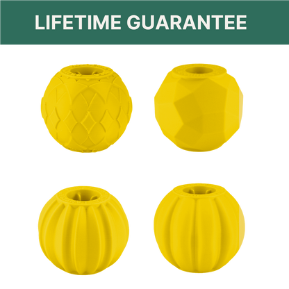 Small Dog Yellow Ball Bundle